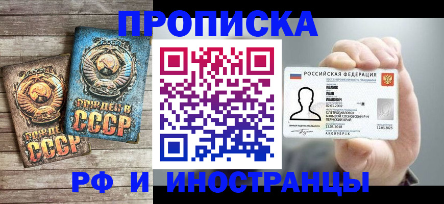 где прописаться в Коле